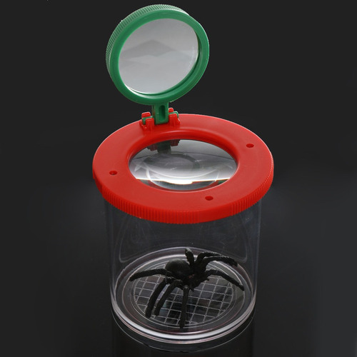 Caja De Entomólogos Juguete Lente Visor De Ampliación Para