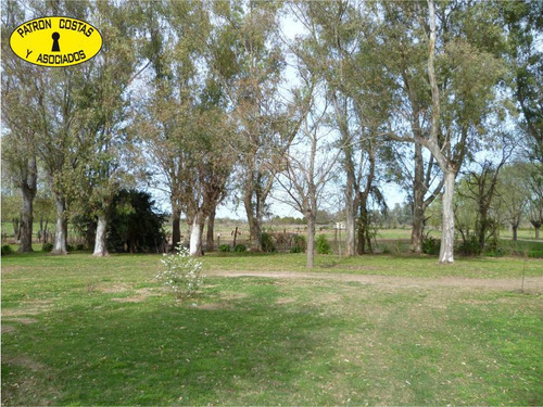 0976hp- 83 Ha (52 Ha + 31 Ha) - Open Door-manzanares