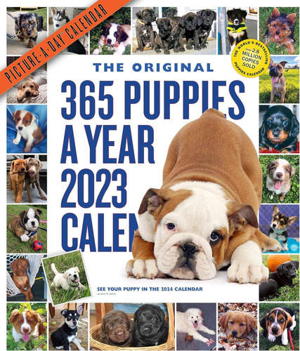 365 Cachorros-a-year Picture-a-day Wall Calendar 2023: