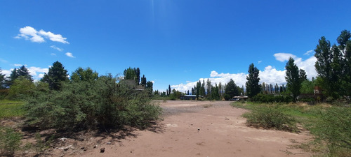 Imagen 9 de 16 de Terreno Publico 1.160 M2 Barreal Centro