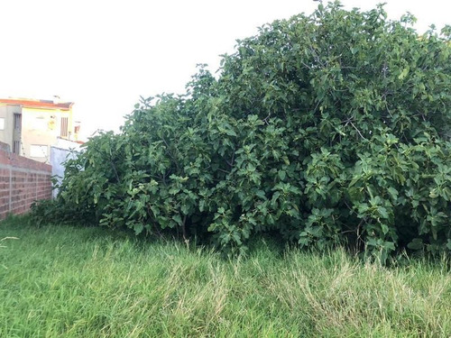 Imagen 2 de 7 de Terreno En Venta, Barrio Zacagnini