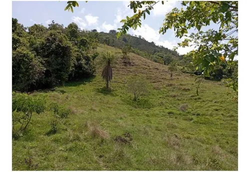 Vendo Finca De 30 Cuadras En Damasco Para Ganadería Cerca La Pintada
