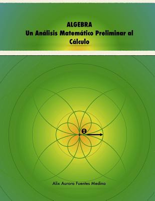 Libro Algebra. Un Anã¡lisis Matemã¡tico Preliminar Al Cã¡...