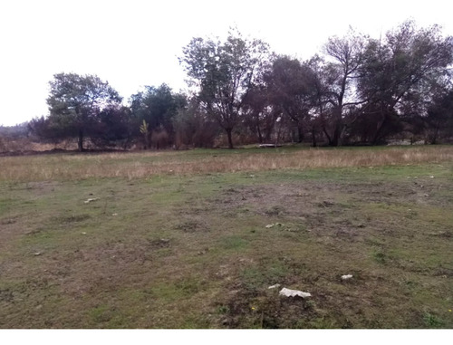 Imagen 7 de 13 de Agrícola En Venta En Chillán