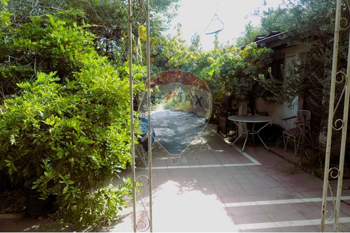 Precio Rebajado - Gran Patio