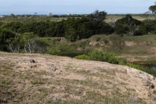 Chacra - Chacras De José Ignacio