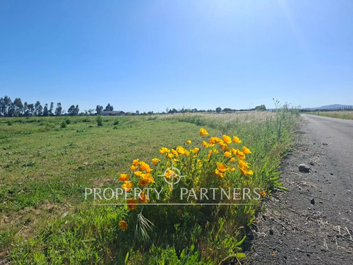 Exclusivo Condominio Cercano A Talca