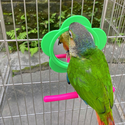 Juguete De Soporte Para Percha De Loro Soporte De Percha Par