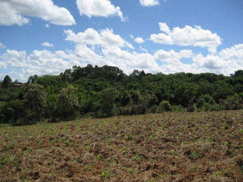 Chácara Com 4 Dormitórios À Venda, 37000 M² Por R$ 3.795.000 - Barreiro Ii - Araçoiaba Da Serra/sp - Ch0005 - 67640193