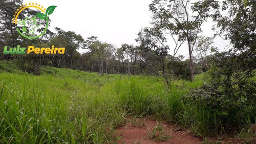 Imagem 9 de 15 de Fazenda À Venda Em Jaú - To - De 57 Alqueirões (pecuária) - 1771