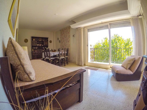 Imagen 7 de 13 de Miramar Alquiler Temporada Verano (enero Y Febrero Alquilado) Depto. 3 Amb, 2 Baños, Balcón, Calles 19 Y 18 Disponible Marzo. Oportunidad Venta!!!