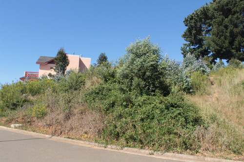 Imagen 3 de 10 de Se Vende Terreno Urbano En Pingueral Tomé