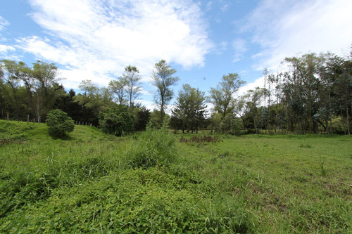 Imagen 18 de 20 de Finca Con Galpones En Marinilla
