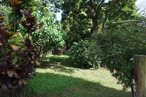 Chácara Com 4 Dormitórios À Venda, 14000 M² Por R$ 10.000.000,00 - Barão Geraldo - Campinas/sp - Ch0052