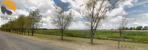 Imagen 3 de 5 de Lote En Venta Sector Extraurbano De #trenquelauquen