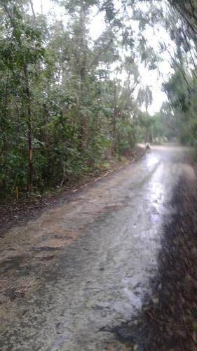 Imagen 2 de 3 de Terreno - Venta Cerca Cancun Supermanzana