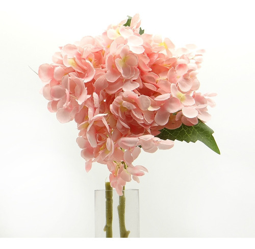 Imagen 2 de 6 de Vara De Hortensia
