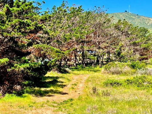 Terreno Plano En Venta En Primera Línea De Zapallar Norte