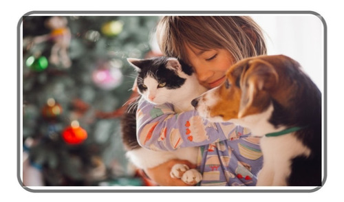 Manta Cobertor Soft Para Pet Cachorro E Gato Kit Com 3unid.