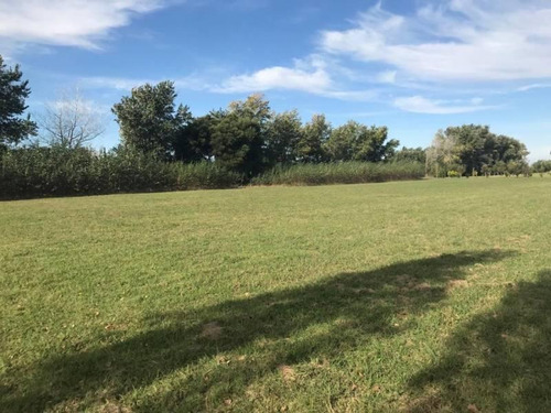 Imagen 6 de 10 de Pintoresca Chacra En Venta En Loma Escondida - Open Door - Mallmann Propiedades