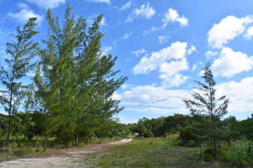 Imagen 7 de 10 de Terreno En Venta Isla Blanca En Laguna Chacmuchuc Cancún