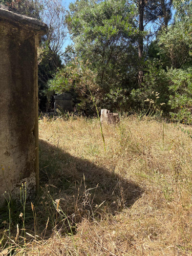Terreno Con Mejora En Pinamar Norte 600m2