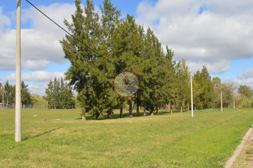 Imagen 19 de 30 de Terreno Lote En Venta Ubicado En Manuel B Gonnet, La Plata