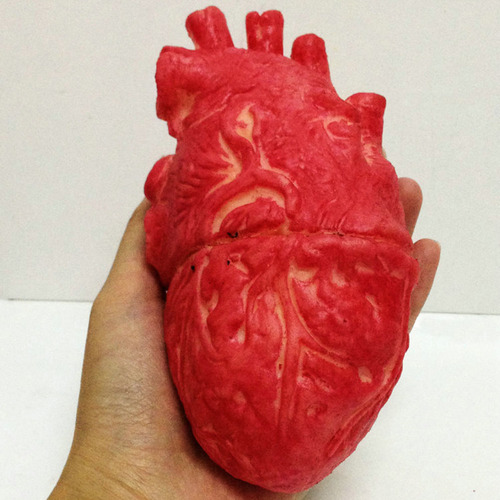 Látex De Látex Falso Con Forma De Corazón Humano, Tamaño Nat