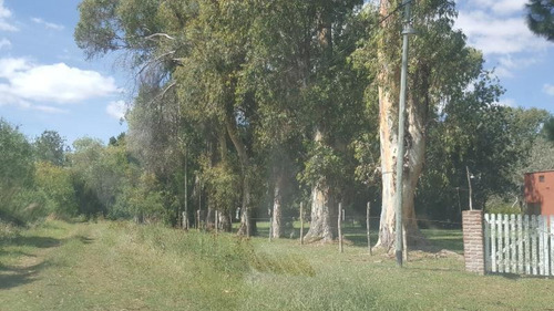 Imagen 4 de 11 de Terreno En Venta En Punta Indio