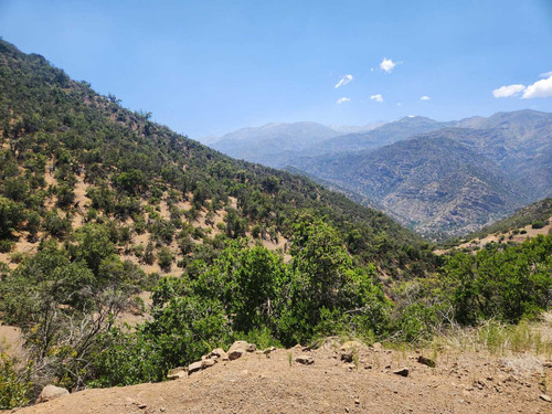 El Arrayan (100810)