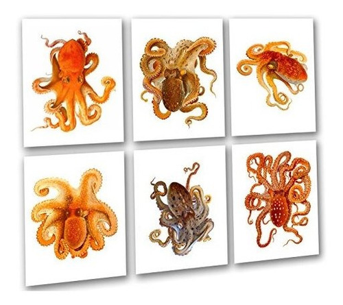 Beach Wall Art Octopus Decor Art Prints Juego De 6 Arte De P