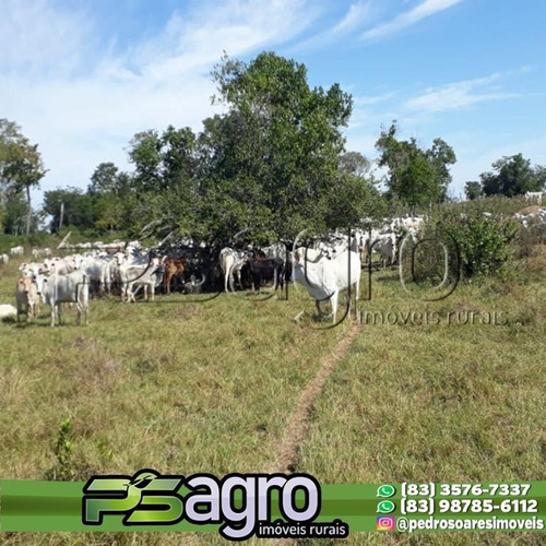 Imagem 9 de 10 de Fazenda À Venda, 310000 M² Por R$ 62.000.000,00 - Centro - Poconé/mt - Fa0226