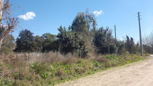 Imagen 6 de 6 de Terreno - Pilar