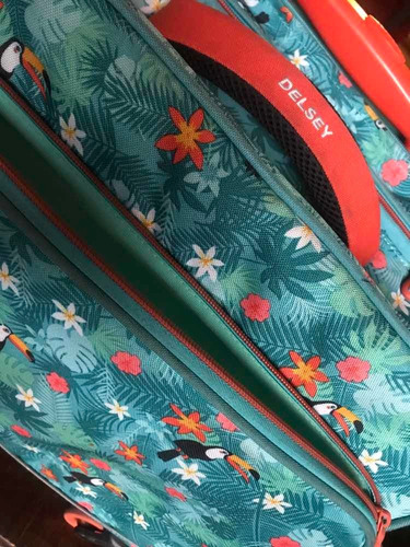 Vendo Mochila Carrito Delsey ! Está En Excelente Estado !