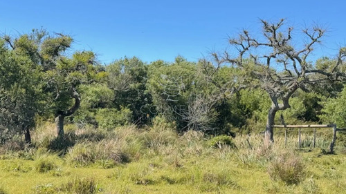 Campo 17 Has Con 9550 M2 Con Costa De Arroyo