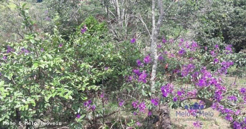 Imagem 6 de 15 de Chácara Para Venda Em Bragança Paulista, Parque Do Caetê, 3 Dormitórios, 2 Suítes, 1 Banheiro, 4 Vagas - 482_2-431909