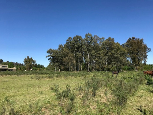 Imagen 10 de 12 de Terreno En Venta En San Antonio De Areco