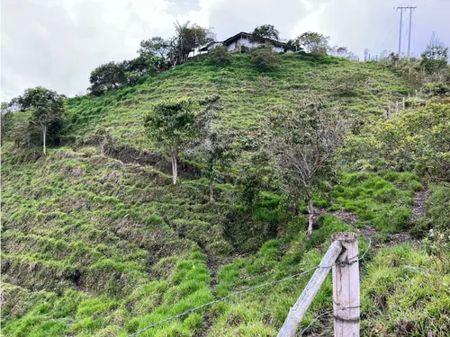 Venta De Finca En Vereda Paramillo, Fresno, Tolima