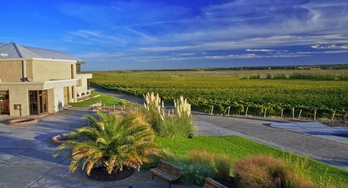 Imagen 4 de 5 de Vino Familia Schroeder Pinot Malbec Caja X 6