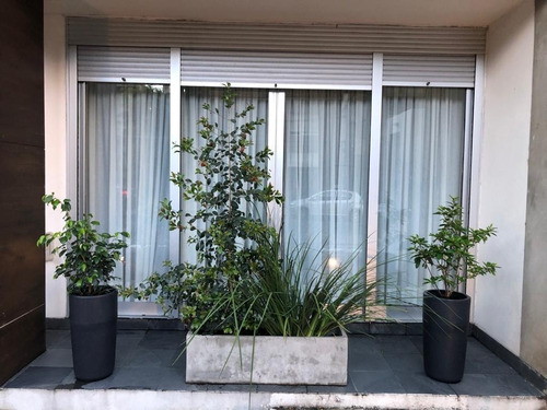 Maceta Grande , Macetón De Plástico 55 Cm Altura