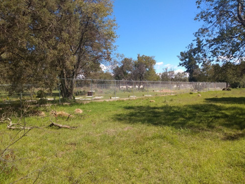 Imagen 6 de 14 de Venta Terreno Urbanizado Apizaco Calpulalpan Y Tlaxcala Cerc