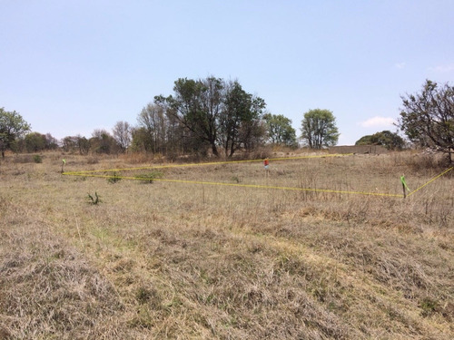 Imagen 3 de 4 de Oferta De Terreno De 500 M, Dentro De Haras Del Bosque