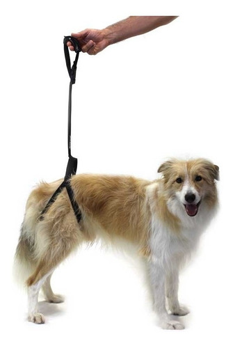 Imagen 1 de 4 de Arnes Para Perros Con Displasia Acolchado Ortopedia Canina