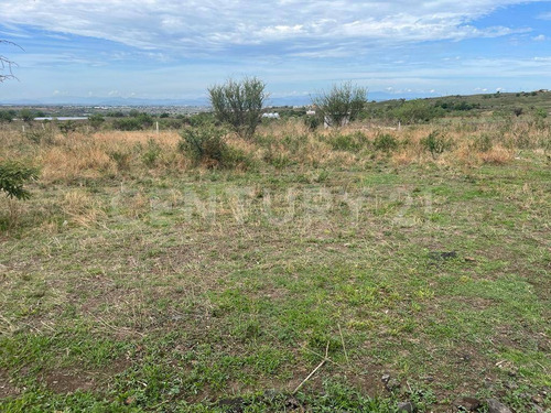 Imagen 6 de 8 de Terreno En Venta En Atlatahuan, Morelos