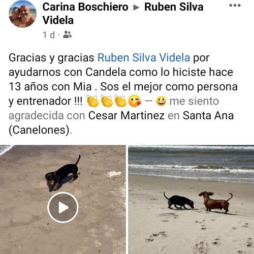 Adiestramiento Y Rehabilitaciones Caninas Ruben Silva Ruben