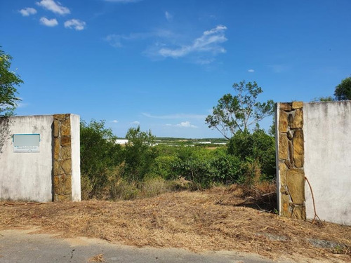 Terreno En Venta En Colinas Del Vergel