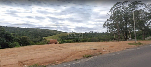 Terreno Em Vila Nova - El56356770