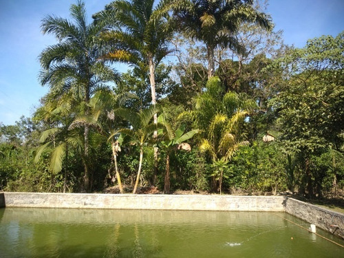 Chácara Em Mongaguá - 3096 - 34896566