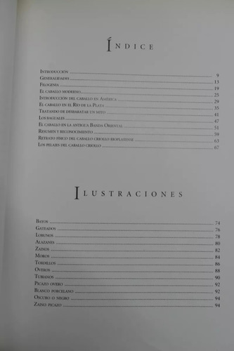 Assuncao: El Caballo Criollo