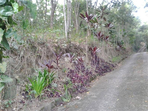 Imagem 4 de 4 de Terreno De 8806 M² Por R$ 1.900.000 - Mata Paca - Niterói/rj - Te2646